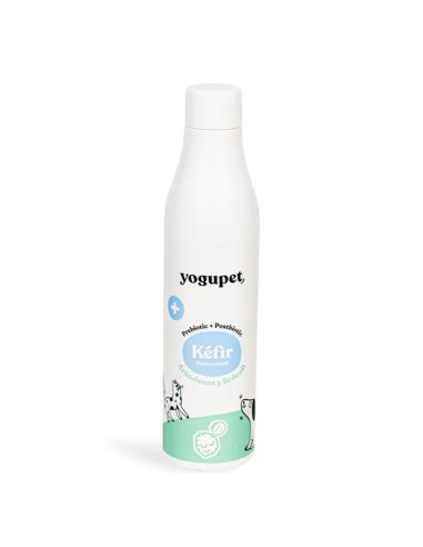 kéfir arándanos y brócoli Yogupet