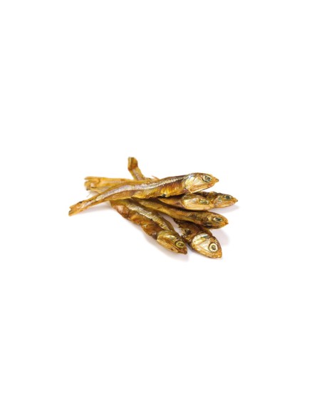 Pescaditos para perros