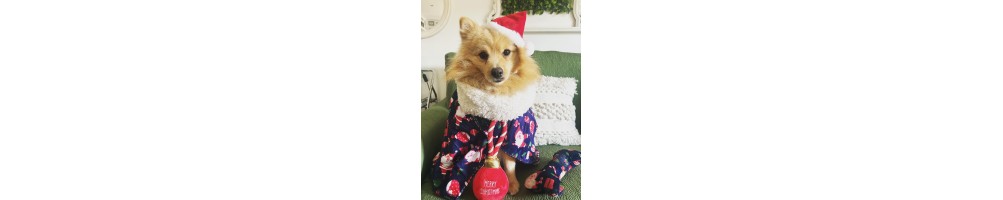 Artículos de Navidad seleccionados para tus mascotas
