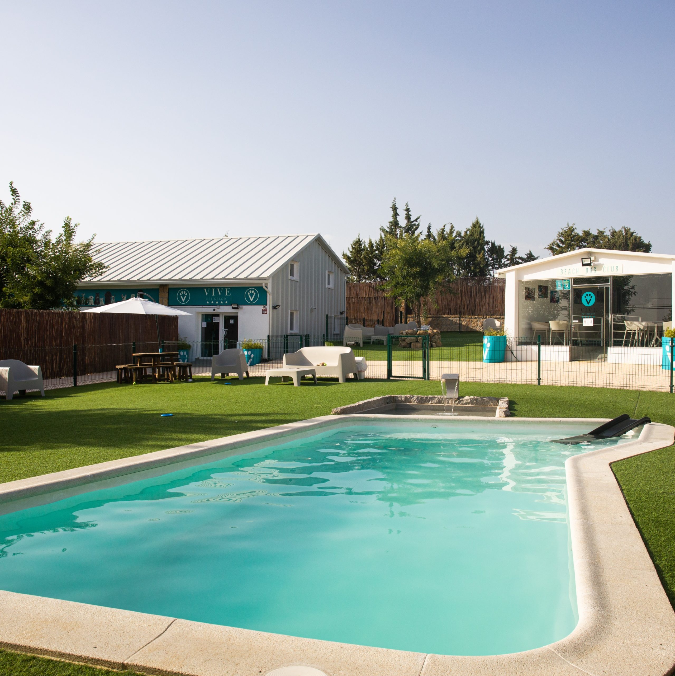 PISCINA VIVEPETS